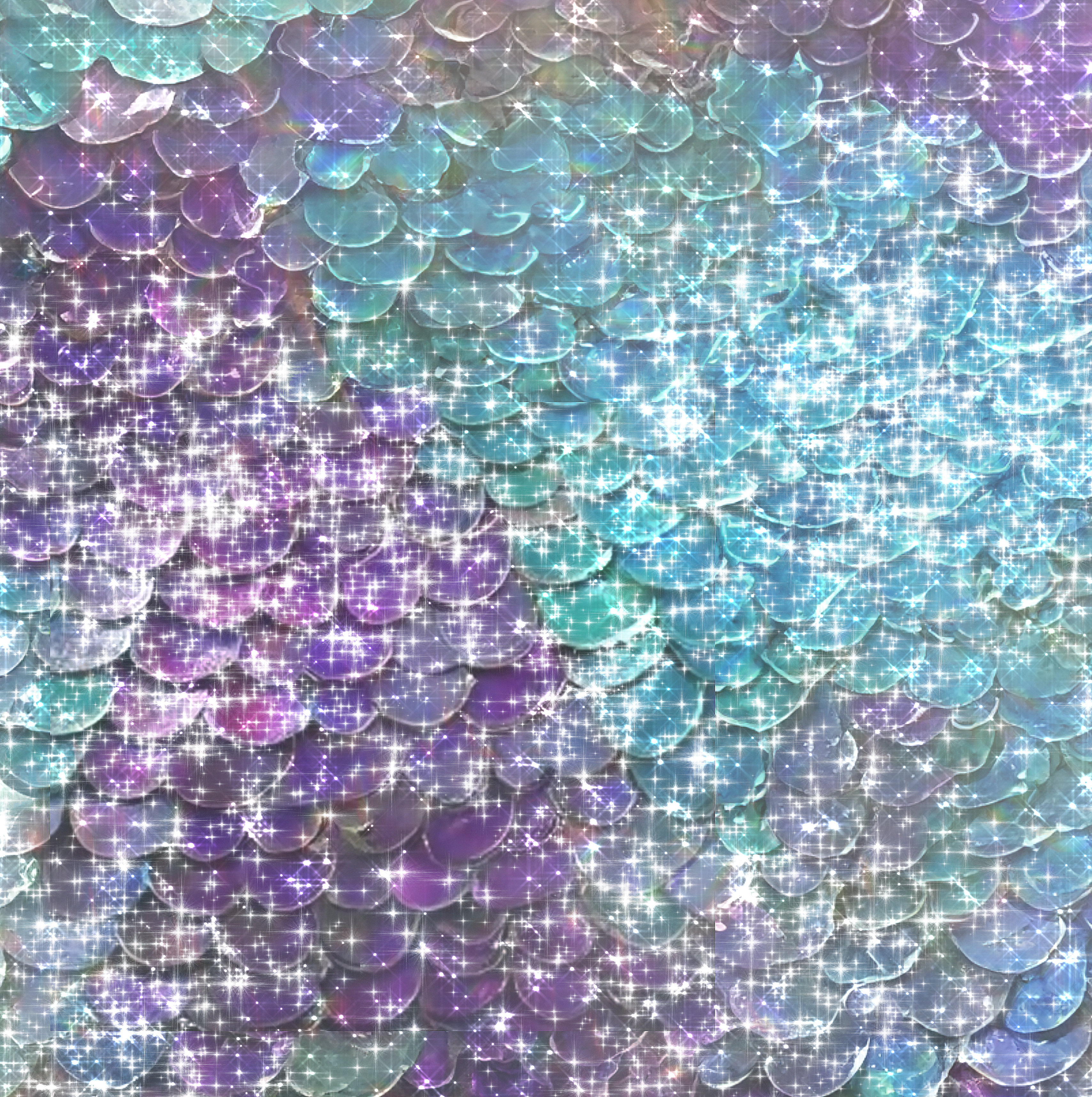 photo of beautifully arranged food