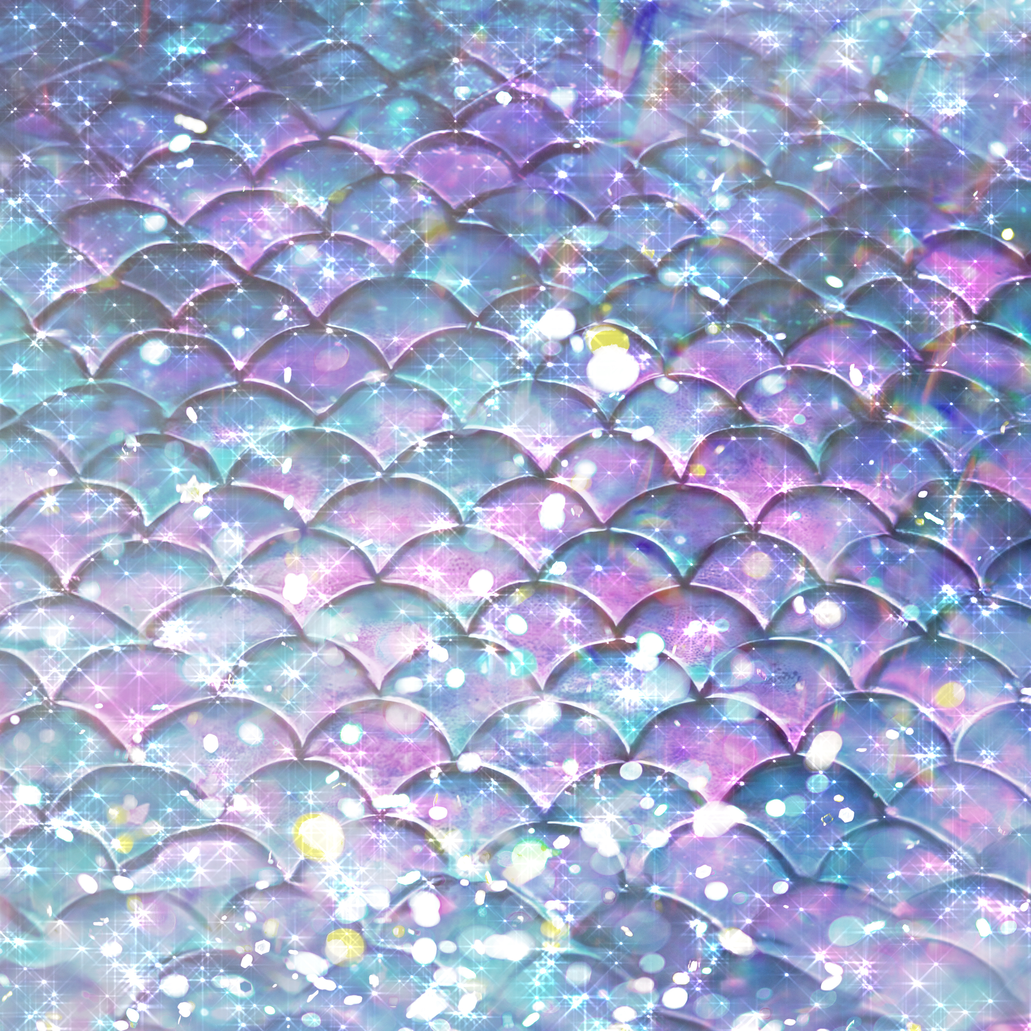 photo of beautifully arranged food