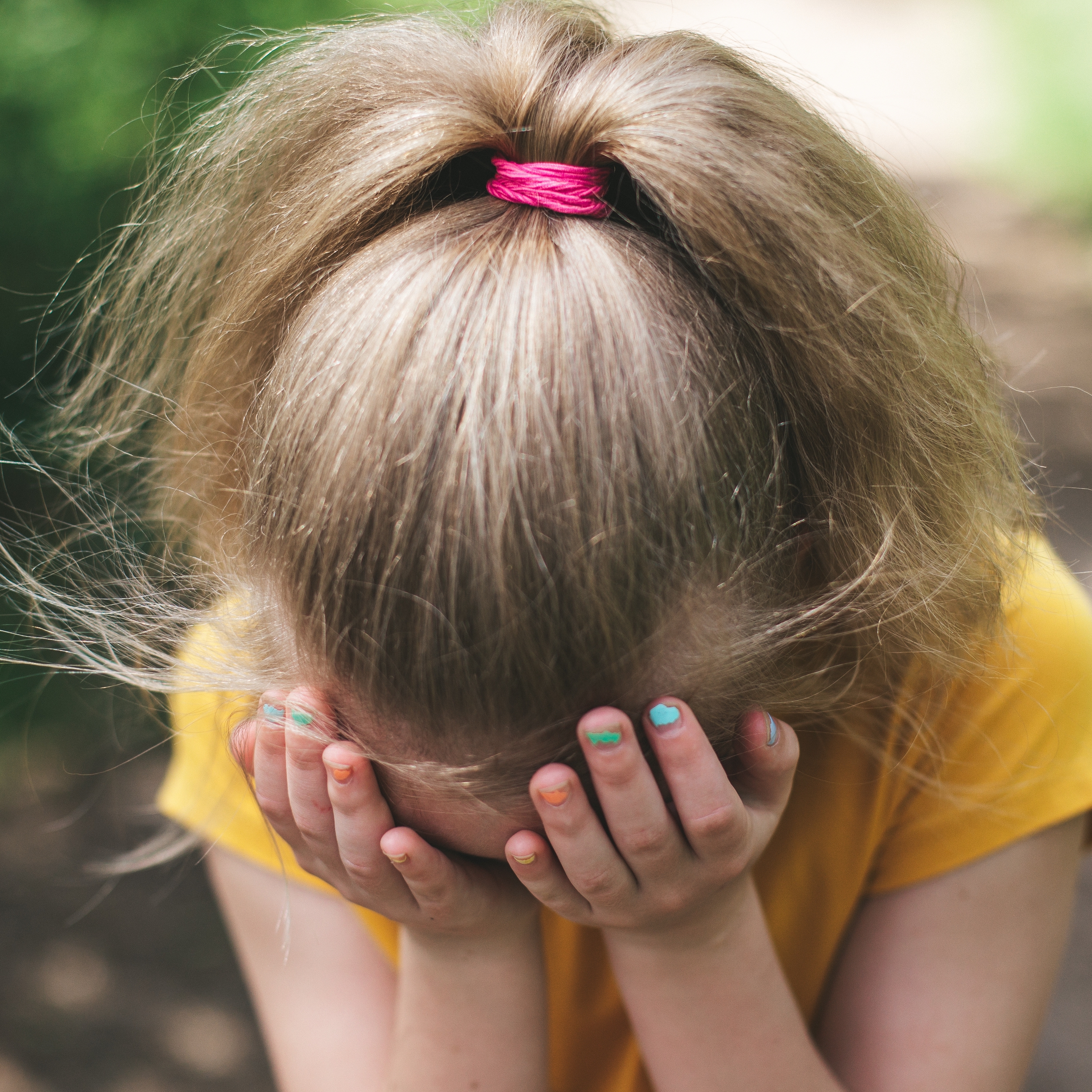 photo of beautifully arranged food