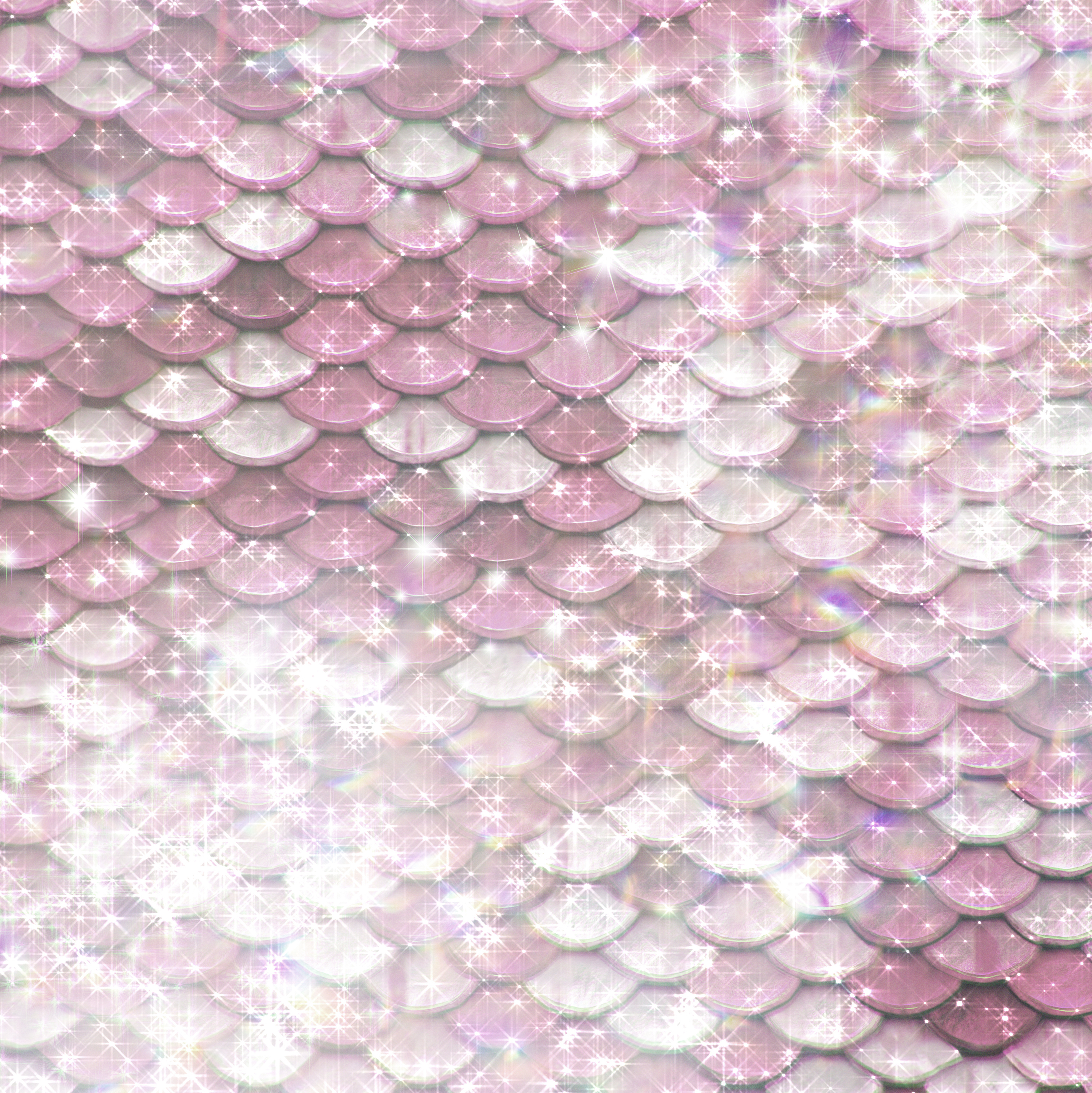 photo of beautifully arranged food